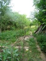 Недострой дом в Козинцах - <ro>Изображение</ro><ru>Изображение</ru> #6, <ru>Объявление</ru> #1301061