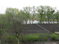 Продам будинок на березі річки Рось - <ro>Изображение</ro><ru>Изображение</ru> #3, <ru>Объявление</ru> #1296915