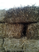 Кули из камыша, снопа, утеплитель - <ro>Изображение</ro><ru>Изображение</ru> #3, <ru>Объявление</ru> #1307151