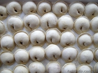 Домашние пельмени и вареники. Киев - <ro>Изображение</ro><ru>Изображение</ru> #1, <ru>Объявление</ru> #1307846