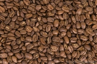 Кофе для офиса, кофе оптом, кофе от производителя - <ro>Изображение</ro><ru>Изображение</ru> #1, <ru>Объявление</ru> #1255509