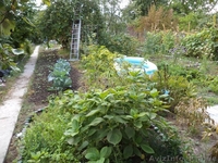 Домик в Клавдиево- Тарасове - <ro>Изображение</ro><ru>Изображение</ru> #2, <ru>Объявление</ru> #1316923