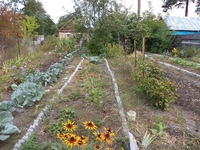 Домик в Клавдиево- Тарасове - <ro>Изображение</ro><ru>Изображение</ru> #3, <ru>Объявление</ru> #1316923