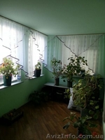 Продам дом с. чупира Белоцерковский район - <ro>Изображение</ro><ru>Изображение</ru> #2, <ru>Объявление</ru> #1331074