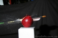 Стрельба из лука - "Лучный тир Лучник" (Киев) - <ro>Изображение</ro><ru>Изображение</ru> #5, <ru>Объявление</ru> #1320994