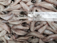 Бычки свежемороженые и продукция из бычков оптом - <ro>Изображение</ro><ru>Изображение</ru> #3, <ru>Объявление</ru> #1334080