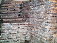 Бычки и тюлька азово-черноморские свежемороженые оптом - <ro>Изображение</ro><ru>Изображение</ru> #7, <ru>Объявление</ru> #1334102