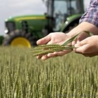 Сельскохозяйственная химия оптом и в розницу, семена. - <ro>Изображение</ro><ru>Изображение</ru> #1, <ru>Объявление</ru> #1340221