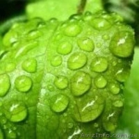 Сельскохозяйственная химия оптом и в розницу, семена. - <ro>Изображение</ro><ru>Изображение</ru> #2, <ru>Объявление</ru> #1340221