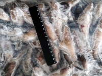 Бычки крупные и средние свежемороженые оптом - <ro>Изображение</ro><ru>Изображение</ru> #3, <ru>Объявление</ru> #1334085