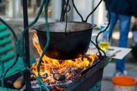 Посуточно сдам дачу в лесу (г Украинка) - <ro>Изображение</ro><ru>Изображение</ru> #5, <ru>Объявление</ru> #982374