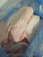 Продам сало оптом - <ro>Изображение</ro><ru>Изображение</ru> #1, <ru>Объявление</ru> #1342978