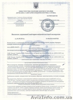 Красивая сосна из лески - <ro>Изображение</ro><ru>Изображение</ru> #2, <ru>Объявление</ru> #1345585