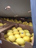 Продам оптом Апельсин, Мандарин, Лимон Турция, Харьковская обл, г. Киев - <ro>Изображение</ro><ru>Изображение</ru> #1, <ru>Объявление</ru> #1350003