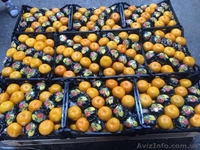 Продам оптом Апельсин, Мандарин, Лимон Турция, Харьковская обл, г. Киев - <ro>Изображение</ro><ru>Изображение</ru> #6, <ru>Объявление</ru> #1350003