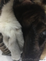 Изделия из меха, кожи б/у Италия - <ro>Изображение</ro><ru>Изображение</ru> #3, <ru>Объявление</ru> #1364853