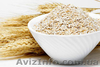 Вівсяні пластівці від виробника - <ro>Изображение</ro><ru>Изображение</ru> #1, <ru>Объявление</ru> #1377209