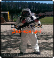 Уничтожение насекомых, грызунов. - <ro>Изображение</ro><ru>Изображение</ru> #5, <ru>Объявление</ru> #880355