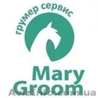 Сервисный центр Грумер-сервис  MaryGroom - <ro>Изображение</ro><ru>Изображение</ru> #2, <ru>Объявление</ru> #1379390
