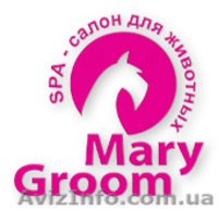 Школа Груминга (Обучение стрижки собак и кошек) - <ro>Изображение</ro><ru>Изображение</ru> #3, <ru>Объявление</ru> #1379322