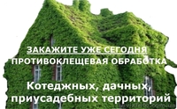 Уничтожение насекомых, грызунов. - <ro>Изображение</ro><ru>Изображение</ru> #4, <ru>Объявление</ru> #880355