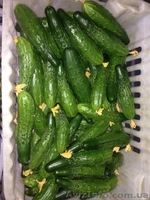 огурец эстафета - <ro>Изображение</ro><ru>Изображение</ru> #2, <ru>Объявление</ru> #1377292