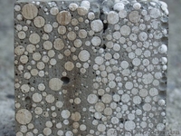 полистиролбетоная стяжка, разуклонка кровли киев  дробленка гранула - <ro>Изображение</ro><ru>Изображение</ru> #3, <ru>Объявление</ru> #1374223