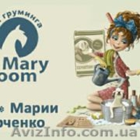 Школа Груминга (Обучение стрижки собак и кошек) - <ro>Изображение</ro><ru>Изображение</ru> #1, <ru>Объявление</ru> #1379322