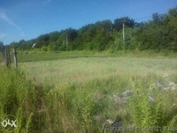  Участок в селе Новое 10 сот. - <ro>Изображение</ro><ru>Изображение</ru> #2, <ru>Объявление</ru> #1386214