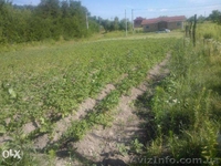  Участок в селе Новое 10 сот. - <ro>Изображение</ro><ru>Изображение</ru> #1, <ru>Объявление</ru> #1386214