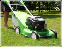 Стрижка газона; покос травы, тримерная стрижка - <ro>Изображение</ro><ru>Изображение</ru> #1, <ru>Объявление</ru> #1406059