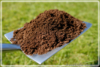 Пескование газона, мульчирование газона - <ro>Изображение</ro><ru>Изображение</ru> #1, <ru>Объявление</ru> #1406072