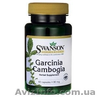 Поможем сбросить лишний вес, все для похудения из США - <ro>Изображение</ro><ru>Изображение</ru> #4, <ru>Объявление</ru> #1422587