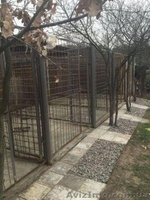 Гостиница для собак под Киевом - <ro>Изображение</ro><ru>Изображение</ru> #2, <ru>Объявление</ru> #1418739