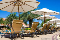 Продажа зонтов для кафе, ресторанов Киев и вся Украина - <ro>Изображение</ro><ru>Изображение</ru> #1, <ru>Объявление</ru> #1412362