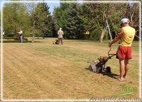 Вычесывание газона, уход за газоном - <ro>Изображение</ro><ru>Изображение</ru> #3, <ru>Объявление</ru> #1406066