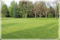 Уход за газоном, все виды работ - <ro>Изображение</ro><ru>Изображение</ru> #5, <ru>Объявление</ru> #1406057