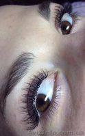 Наращивание ресниц в Киеве. Недорого - <ro>Изображение</ro><ru>Изображение</ru> #1, <ru>Объявление</ru> #1442729