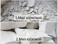 Мел кусковой, кормовой для животных, школьный! - <ro>Изображение</ro><ru>Изображение</ru> #1, <ru>Объявление</ru> #1450277