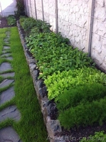 Продажа дома в Петропавловской Борщаговке - <ro>Изображение</ro><ru>Изображение</ru> #1, <ru>Объявление</ru> #1478816