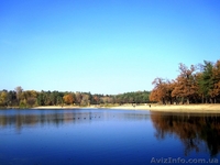 Продается участок 8 соток с Домом город Киев Красный Хутор - <ro>Изображение</ro><ru>Изображение</ru> #6, <ru>Объявление</ru> #1480231