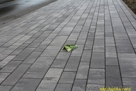 Тротуарная плитка от UNIGRAN со скидкой до 23% - <ro>Изображение</ro><ru>Изображение</ru> #1, <ru>Объявление</ru> #1479747