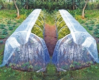 Теплица - парник р-р 1х4.5х1.1 м. (с плёнкой) - <ro>Изображение</ro><ru>Изображение</ru> #3, <ru>Объявление</ru> #1480892