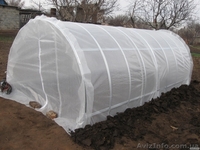 Теплица - парник р-р 2.3х4.8х1.7 м. (с плёнкой) - <ro>Изображение</ro><ru>Изображение</ru> #3, <ru>Объявление</ru> #1480893