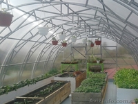 Каркас теплицы из поликарбоната 5х10х2.5 м. - <ro>Изображение</ro><ru>Изображение</ru> #1, <ru>Объявление</ru> #1480879