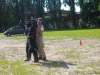 Черная немецкая овчарка - <ro>Изображение</ro><ru>Изображение</ru> #5, <ru>Объявление</ru> #1484845