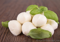 Рассольный сыр Моцарелла (ведро 2, 5 кг) (125 гр шарик) - <ro>Изображение</ro><ru>Изображение</ru> #2, <ru>Объявление</ru> #1510367