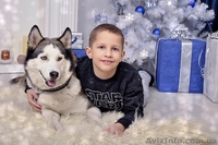 Фотограф на детские мероприятия - <ro>Изображение</ro><ru>Изображение</ru> #3, <ru>Объявление</ru> #1506341