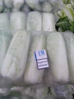 КАПУСТА ПЕКИНСКАЯ - прямой поставщик из Украины - <ro>Изображение</ro><ru>Изображение</ru> #2, <ru>Объявление</ru> #1507381