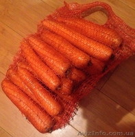 МОРКОВЬ - прямой поставщик из Украины - <ro>Изображение</ro><ru>Изображение</ru> #2, <ru>Объявление</ru> #1507376